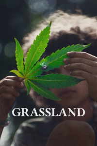 Grassland (2025) Grassland (2025)
